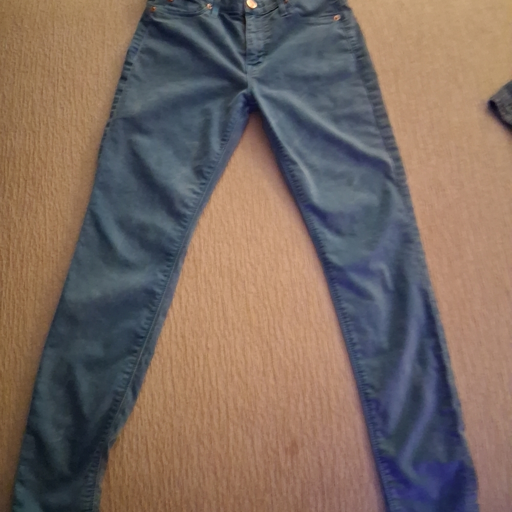 Hudson Jeans Women's Skinny Jeans - Blue